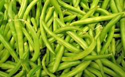 Fresh Fine Green Beans  x  150g