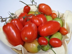 Fresh Plum Tomatoes  x  1kg