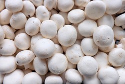 Fresh Button Mushrooms  x  2.27kg