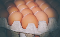 Medium Eggs  x  15 Doz