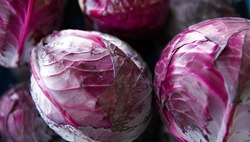 Fresh Red Cabbage  ** NOW SOLD BY THE KILO **  x  Kilo