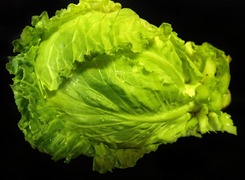 Fresh Sweetheart Cabbage  x  single
