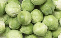 Fresh Brussel Sprouts  x  1kg