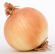 Fresh Large English Onions  x  single