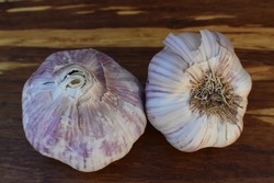 Fresh Garlic Bulbs  x  single