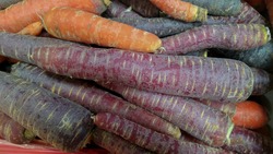 Fresh Baby Rainbow Carrots  x  200g