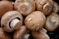Fresh Chestnut Mushrooms  x  1kg