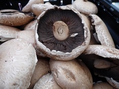 Fresh Cup Mushrooms  x  2.5kg