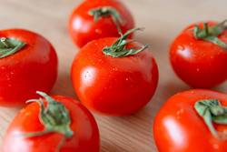 Fresh Tomatoes 47/52 mm  x  1kg