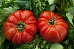 Fresh Heritage Tomatoes  x  3kg