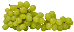 Fresh Seedless Green Grapes  x  500g