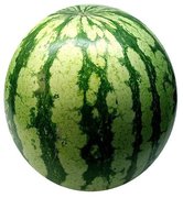 Fresh Watermelon  x  Single