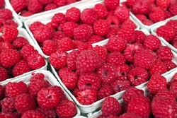 Fresh Raspberries  x  125g