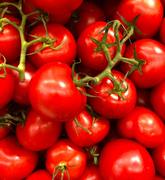 Fresh Tomatoes 47/52 mm  x  6kg